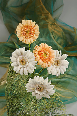 포토 JPG 해외이미지 디자인 꽃 문화 꽃다발 백그라운드 잎 자연 미술 사람없음 장식 빨간색 초록색 흰색 화려 닫기 꽃집 고립 구성 해외202004 해외포토 식물 컬러 컨셉 모션 문화예술 상점 생태계 파일형식 이미지허브