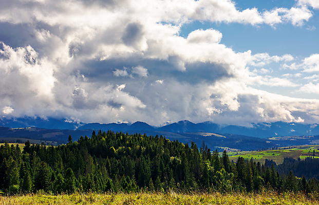 포토 JPG 해외이미지 나무 식물 구름 계절 여행 백그라운드 자연 하늘 산 풍경 사람없음 야외 초록색 여름 파란색 환경 계곡 시골 숲 언덕 내추럴 해외202004 해외포토 자연요소 컬러 생태계 파일형식 이미지허브