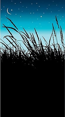 EPS 해외이미지 식물 실루엣 별 호수 백그라운드 잎 일러스트 자연 갈대 물 강 환경 검은색 달 흰색 야간 내추럴 해외202004 해외일러스트 자연요소 컬러 촬영기법 생태계 파일형식 벡터 이미지허브