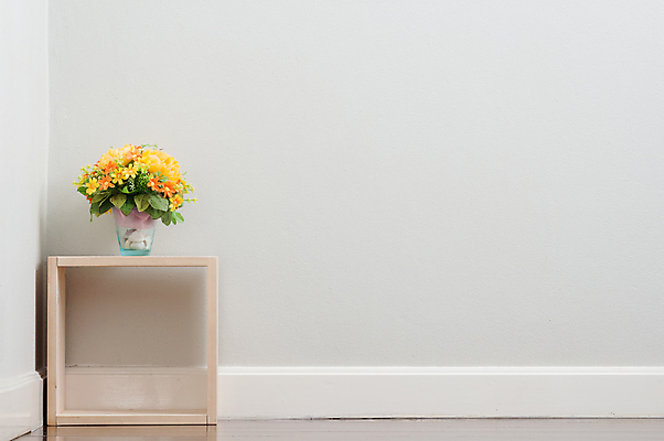 포토 JPG 해외이미지 꽃 벽 잎 오렌지 유리 바닥 사람없음 목재 컵 초록색 상자 노란색 정사각형 인공 해외202004 해외포토 도형 나무 식물 식기 컬러 과일 재료 재질 파일형식 이미지허브