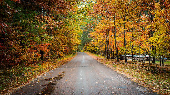 포토 JPG 해외이미지 나무 계절 도로 낙엽 잎 오렌지 자연 조명 풍경 사람없음 야외 컬러풀 노란색 평화 침묵 가을 신선 황무지 숲 시원함 자원 내추럴 삼림지대 해외202004 해외포토 식물 길 컬러 컨셉 과일 교통시설 소리 생태계 파일형식 이미지허브