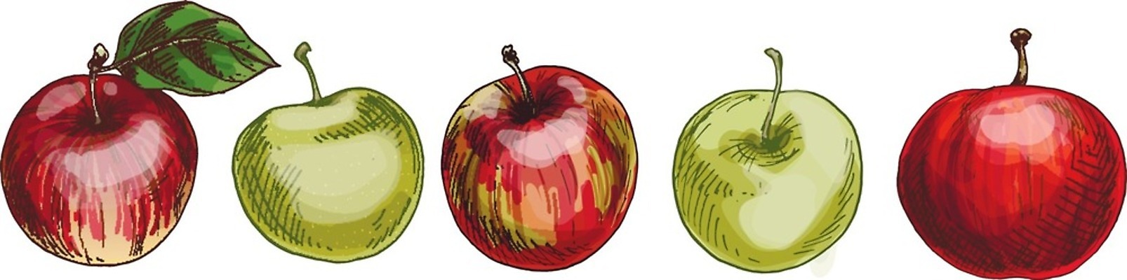 EPS 해외이미지 음식 백그라운드 컨셉 잎 농업 다이어트 과일 일러스트 자연 디저트 건강 빨간색 초록색 여름 세트 정원 주스 흰색 신선 맛 떨어짐 사과 이슬 먹기 오브젝트 유기농 칼로리 내추럴 점심식사 고립 생태학 숙성 채식주의자 해외202004 해외일러스트 식물 웰빙 계절 교육 산업 음료 컬러 모션 식사 생태계 채식 파일형식 벡터 이미지허브