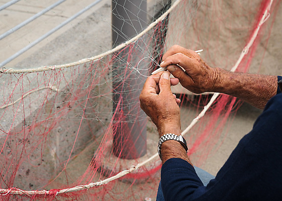 포토 JPG 해외이미지 전통 손 백그라운드 컨셉 자연 낚시 관리 어류 사람 앉기 성인 사람없음 파란색 이탈리아 장비 흰색 업무 작업 그물 수리 어부 묘사 낚시꾼 고정 고립 옛날 해외202004 해외포토 직업 유럽 컬러 모션 레저 신체부위 수중동물 생태계 파일형식 이미지허브