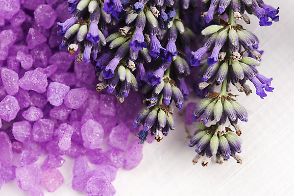 포토 JPG 해외이미지 식물 꽃 신체 자연 사람없음 치료 약 보라색 스파 목욕 화장품 다발 소중 허브 유기농 냄새 아로마 소금 향 아로마테라피 라벤더 라일락 내추럴 고립 돌봄 프로방스 해외202004 해외포토 웰빙 컬러 컨셉 의학 모션 뷰티 청결 생태계 테라피 파일형식 이미지허브