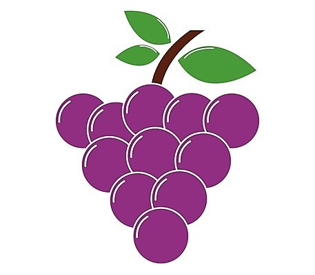 EPS 해외이미지 식물 디자인 열매 선 음식 잎 농업 과일 일러스트 포도 디저트 그래픽 와인 플랫 달콤 먹기 심볼 사인 유기농 심플 윤곽 포도나무 내추럴 고립 숙성 양조장 채식주의자 타격 미니멀 해외202004 해외일러스트 웰빙 산업 모션 주류 맛 과일나무 채식 파일형식 벡터 이미지허브