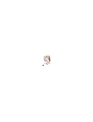 EPS 해외이미지 모양 템플릿 디자인 배너 응시 여자 꽃잎 꽃 실루엣 포스터 얼굴 선 백그라운드 컨셉 잎 꽃무늬 일러스트 추상 불꽃 수채화 사람 그래픽 장식 빨간색 컬러풀 머리 유행 페인트 공백 덮개 나뭇가지 점 얼룩 원형 화려 입술 질감 순환 윤곽 엘리먼트 스타일 해외202004 해외일러스트 도형 나무 식물 시선 컬러 무늬 모션 불 촬영기법 신체부위 뚜껑 파일형식 벡터 자연요소 이미지허브