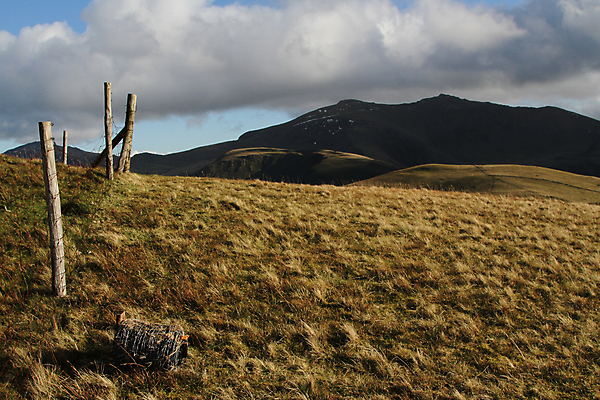 포토 JPG 해외이미지 구름 하늘 국립공원 사람없음 야외 목재 초록색 파란색 울타리 걷기 트래킹 시골 땅 롤 철사 펜싱 철조망 감싸기 경영 해외202004 해외포토 자연요소 나무 공원 스포츠 컬러 비즈니스 재료 모션 레저 담장 파일형식 이미지허브