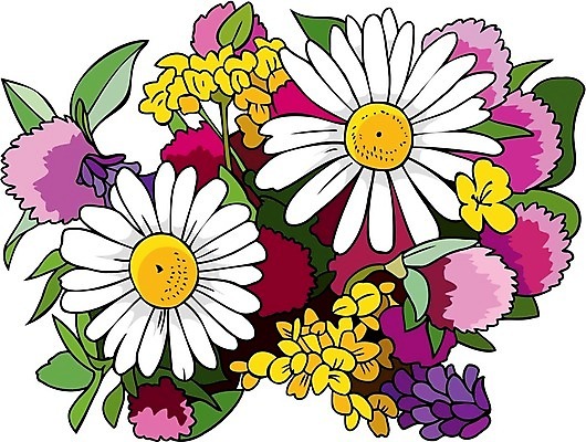 EPS 해외이미지 식물 계절 꽃잎 꽃 줄기 꽃다발 잎 꽃무늬 일러스트 자연 휴가 선물 침묵 봄 벚꽃 개화 우아함 클로버 아로마 내추럴 꽃수술 캐모마일 해외202004 해외일러스트 컨셉 무늬 소리 허브 생태계 파일형식 벡터 이미지허브