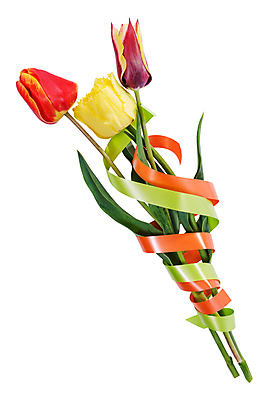 포토 JPG 해외이미지 식물 계절 꽃 줄기 분홍색 꽃다발 백그라운드 컨셉 잎 오렌지 자연 휴가 부활절 발렌타인데이 선물 사랑 사람없음 장식 빨간색 초록색 컬러풀 노란색 정원 보라색 봄 튤립 벚꽃 흰색 축하 인사 신선 우아함 다발 꽃집 심볼 오브젝트 테이프 내추럴 고립 해외202004 해외포토 기념일 감정 컬러 과일 데이이벤트 문구용품 상점 예절 생태계 파일형식 이미지허브