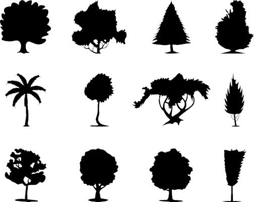 EPS 해외이미지 나무 식물 디자인 꽃 잎 꽃무늬 일러스트 자연 미술 풍경 검은색 소나무 해외202004 해외일러스트 컬러 무늬 문화예술 생태계 파일형식 벡터 이미지허브