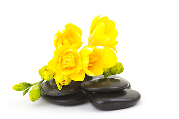 포토 JPG 해외이미지 라이프스타일 꽃 잎 꽃무늬 휴식 건강 사람없음 가로 약 노란색 스파 목욕 화장품 마사지 고급 컨테이너 피부 명상 향기 냄새 아로마테라피 테라피 사우나 바디케어 위생관리 카피스페이스 해외202004 해외포토 식물 산업 컬러 컨셉 무늬 의학 관리 생활 신체부위 뷰티 청결 공백 파일형식 이미지허브