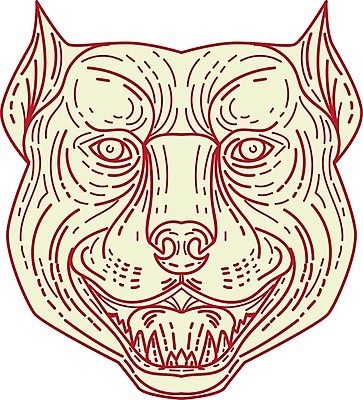 EPS 해외이미지 동물 야생동물 일러스트 그래픽 반려동물 머리 분노 개 흰배경 그림 심플 송곳니 고립 마스코트 마스티프 해외202004 해외일러스트 감정 백그라운드 포유류 신체부위 흰색 치아 파일형식 벡터 이미지허브