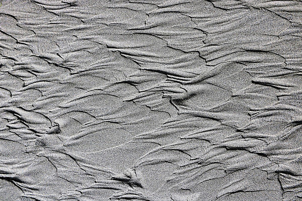 포토 JPG 해외이미지 아이콘 디자인 배너 별 종이 백그라운드 컨셉 패턴 벽지 추상 휴가 새로움 따뜻함 미술 경사 사람없음 장식 빛 컬러풀 갈색 파티 우주 금속 검은색 어둠 회색 수확 신용카드 화려 황금 우아함 은색 소프트포커스 질감 복고 보케 먼지 부드러움 블러 효과 해외202004 해외포토 자연요소 컬러 무늬 농업 재질 문화예술 촬영기법 이벤트 금융 감각 파일형식 이미지허브