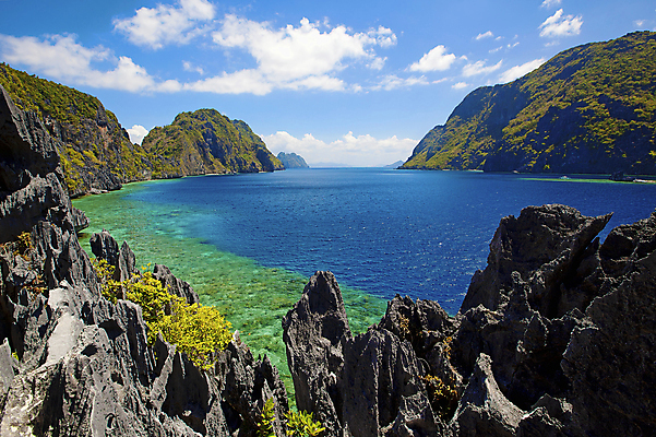 포토 JPG 해외이미지 나무 전통 아시아 모래 바다 섬 여행 백그라운드 자연 휴가 휴식 열대 산 손바닥 풍경 사람없음 야외 물 여름 파란색 야자수 평화 맑음 고요 꿈 보트 고독 탈출 석호 석회암 터키석 파라다이스 해외202004 해외포토 자연요소 식물 손 계절 감정 나라 컬러 컨셉 배_교통 날씨 암석 보석 생태계 파일형식 이미지허브