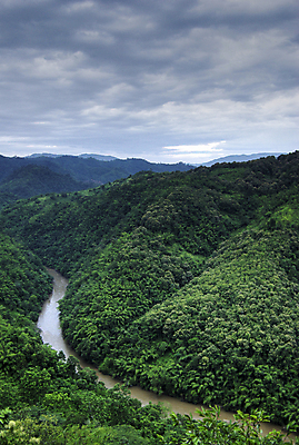 포토 JPG 해외이미지 나무 구름 공원 아시아 호수 여행 곡선 자연 하늘 산 풍경 사람없음 야외 목재 초록색 물 여름 강 반사 평화 환경 계곡 힘 놀람 자유 양 투명 뱀 플랫 숲 땅 언덕 만족 넘어짐 전국 해외202004 해외포토 자연요소 식물 계절 공공시설 감정 나라 선 컬러 컨셉 재료 포유류 파충류 모션 표정 생태계 파일형식 이미지허브
