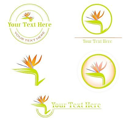 EPS 해외이미지 모양 식물 디자인 꽃 꽃무늬 오렌지 일러스트 자연 추상 세트 꼬리표 라벨 정원 벚꽃 개화 수집 심볼 오브젝트 사인 원예 신분 엘리먼트 이국적 브랜딩 해외202004 해외일러스트 무늬 과일 프레임 취미 생태계 파일형식 벡터 이미지허브