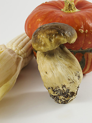 포토 JPG 해외이미지 계절 음식 백그라운드 밭 농업 채소 오렌지 과일 자연 호박 휴가 건강 옥수수 사람없음 장식 빨간색 컬러풀 갈색 노란색 정원 버섯 수확 가을 흰색 신선 먹기 유기농 고립 그런지 해외202004 해외포토 웰빙 산업 컬러 모션 곡류 생태계 파일형식 이미지허브