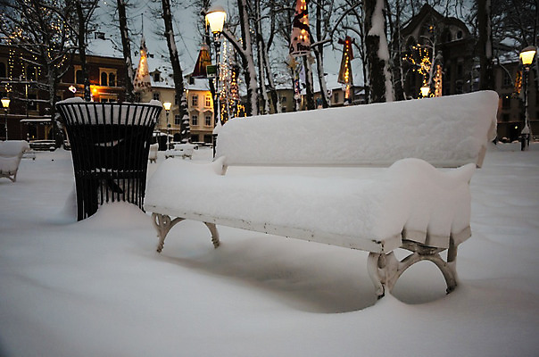 포토 JPG 해외이미지 나무 계절 공원 겨울 벤치 의자 아침 날씨 사람없음 야외 장식 빛 평화 쓰레기통 흰색 도시 12월 장면 부드러움 해외202004 해외포토 주간 식물 공공시설 컬러 가구 컨셉 감각 날짜 파일형식 이미지허브
