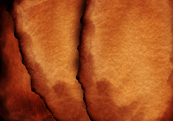 포토 JPG 해외이미지 손 종이 벽 백그라운드 패턴 텍스트 벽지 표면 날씨 추상 산 프레임 액자틀 사람없음 장식 갈색 공백 수확 골동품 점 얼룩 주름 자르기 편지 질감 문서 시트 구김 그런지 양피지 옛날 중고 해외202004 해외포토 컬러 액자 무늬 농업 모션 틀 신체부위 파일형식 이미지허브