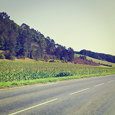 포토 JPG 해외이미지 유럽 도로 선 여행 밭 농업 곡선 교통시설 자연 아침 산 옥수수 풍경 사람없음 야외 초록색 파란색 농장 일출 환경 일몰 프랑스 수확 성장 가을 시골 숲 아스팔트 지중해 복고 정사각형 프랑스어 굴곡 길가 생태학 소셜네트워크 필터 해외202004 해외포토 주간 도형 문자 계절 교육 나라 산업 길 바다 컬러 교통 곡류 노을 시설 생태계 파일형식 이미지허브