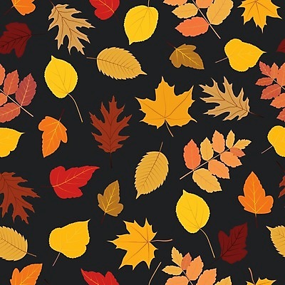 EPS 해외이미지 나무 식물 디자인 계절 백그라운드 단풍 잎 패턴 오렌지 일러스트 자연 벽지 표면 추상 장식 컬러풀 갈색 노란색 수확 덮개 가을 직물 우아함 숲 인쇄 9월 질감 복고 심플 원시시대 10월 스타일 해외202004 해외일러스트 컬러 컨셉 무늬 농업 과일 뚜껑 날짜 역사 생태계 파일형식 벡터 이미지허브