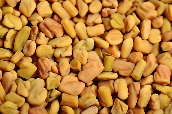 포토 JPG 해외이미지 백그라운드 재료 건조 건강 요리 씨앗 사람없음 약 노란색 쌓기 흰색 양념 맛 약초 낟알 허브 향신료 유기농 질감 날것 향료 향 카레 내추럴 해외202004 해외포토 식물 웰빙 음식 컬러 컨셉 의학 모션 풀_식물 향기 냄새 향미료 파일형식 이미지허브