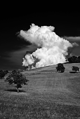 포토 JPG 해외이미지 나무 식물 구름 계절 유럽 여행 밭 농업 자연 하늘 휴가 휴식 거리 풍경 사람없음 야외 초록색 파란색 이탈리아 가을 시골 언덕 포도밭 장면 내추럴 토스카나 목가 해외202004 해외포토 자연요소 나라 산업 컬러 컨셉 생태계 파일형식 이미지허브