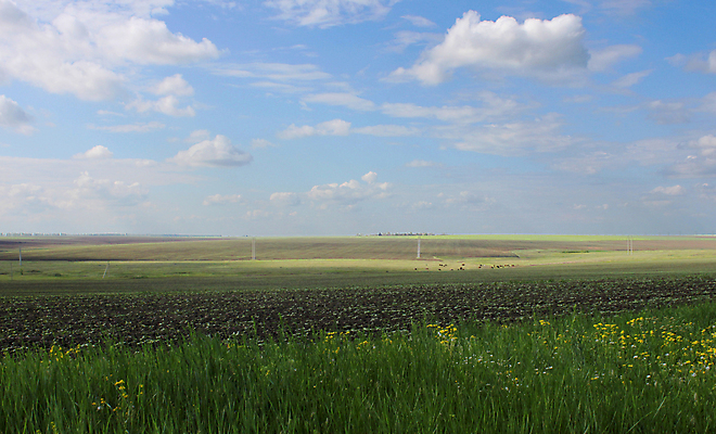 포토 JPG 해외이미지 구름 밭 농업 자연 하늘 해바라기 풍경 사람없음 초록색 파란색 시골 언덕 수평선 해외202004 해외포토 자연요소 꽃 산업 컬러 생태계 파일형식 이미지허브