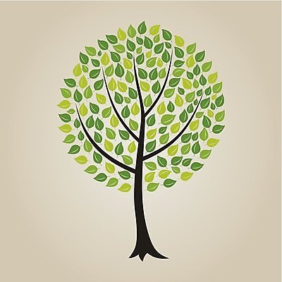 EPS 해외이미지 나무 식물 디자인 백그라운드 단풍 잎 일러스트 자연 뿔 미술 풍경 목재 여름 환경 봄 가을 만화 자작나무 내추럴 아카시아 재 해외202004 해외일러스트 계절 재료 문화예술 생태계 파일형식 벡터 이미지허브