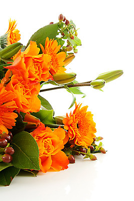 포토 JPG 해외이미지 꽃 꽃다발 잎 꽃무늬 오렌지 자연 사람없음 장미 고립 해외202004 해외포토 식물 무늬 과일 생태계 파일형식 이미지허브