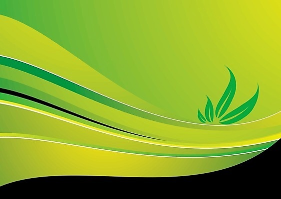 EPS 해외이미지 디자인 꽃 선 파도 백그라운드 컨셉 잎 패턴 곡선 일러스트 모션 자연 벽지 하늘 추상 아이디어 프레임 창조 사랑 미술 그래픽 장식 초록색 빛 페인트 흐름 에너지 화려 우아함 질감 만들기 공상 광 발생 엘리먼트 효과 해외202004 해외일러스트 식물 감정 바다 컬러 무늬 문화예술 생태계 파일형식 벡터 이미지허브