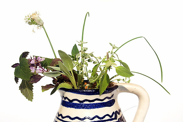 포토 JPG 해외이미지 식물 잎 재료 태국 건강 종류 요리 사람없음 치료 꽃병 신선 도자기 조미료 약초 자르기 배열 민트 허브 유기농 향기 향료 향 성분 아로마테라피 바질 유리주전자 쪽파 고립 백리향 세이지 식용 치료제 해외202004 해외포토 웰빙 꽃 아시아 의학 모션 유리 주전자 약 풀_식물 냄새 파 테라피 향미료 파일형식 이미지허브