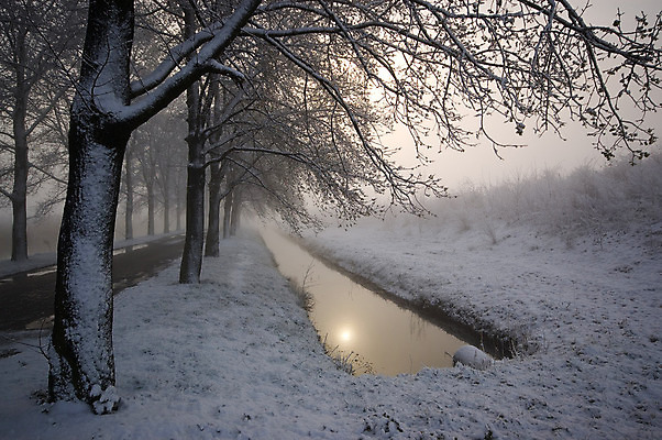포토 JPG 해외이미지 나무 계절 도로 길 겨울 아침 거리 풍경 사람없음 강 태양 반사 냉동 황혼 추위 안개 흰색 나뭇가지 시골 개울 12월 속도 네덜란드 운하 1월 2월 해외202004 해외포토 주간 자연요소 식물 유럽 컬러 교통시설 날씨 일몰 날짜 파일형식 이미지허브