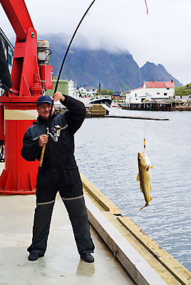 포토 JPG 해외이미지 1 남자 음식 바다 포즈 하늘 낚시 휴가 휴식 노르웨이 어류 한명 미소 사람 성인 취미 야외 물 여름 파란색 햇빛 잡기 조끼 북극 북쪽 얼레 절정 해외202004 해외포토 자연요소 계절 유럽 컬러 컨셉 모션 레저 표정 태양 수중동물 외투 극지방 방향 파일형식 이미지허브