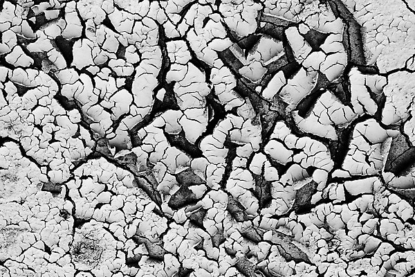 포토 JPG 해외이미지 지구 모래 백그라운드 패턴 자연 표면 추상 건조 사람없음 갈색 환경 흙 손상 사막 죽음 뜨거움 거친 균열 위험 땅 묘사 질감 먼지 점토 지역 진흙 다리찢기 내추럴 그런지 깨짐 땅바닥 위기 재앙 지질학 해외202004 해외포토 교육 컬러 컨셉 무늬 모션 바닥 생태계 파일형식 이미지허브