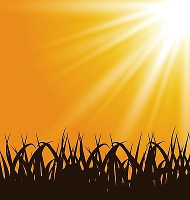 EPS 해외이미지 식물 구름 디자인 계절 백그라운드 밭 오렌지 일러스트 자연 하늘 아침 건조 풍경 잔디 야외 빛 햇빛 태양 일출 환경 정원 맑음 활발 성장 광선 가을 볏짚 저녁 허브 내추럴 생태학 해외202004 해외일러스트 주간 자연요소 교육 컨셉 농업 과일 날씨 노을 짚 야간 생태계 파일형식 벡터 이미지허브