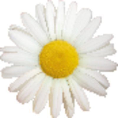 EPS 해외이미지 식물 디자인 계절 꽃잎 꽃 백그라운드 컨셉 꽃무늬 밭 일러스트 자연 휴가 잉크 장식 노란색 머리 환경 정원 맑음 봄 벚꽃 흰색 인사 신선 화려 자르기 유기농 데이지 심플 꽃가루 부드러움 공상 고립 엘리먼트 캐모마일 해외202004 해외일러스트 웰빙 컬러 무늬 농업 모션 날씨 신체부위 예절 감각 가루 허브 생태계 파일형식 벡터 이미지허브