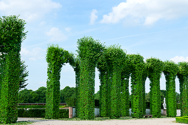 포토 JPG 해외이미지 나무 식물 구름 디자인 공원 꽃 도로 길 벽 백그라운드 잎 패턴 자연 하늘 풍경 잔디 사람없음 야외 목재 장식 초록색 여름 파란색 울타리 정원 봄 산책 산책로 도시 재산 쇼핑몰 관목 방법 해외202004 해외포토 자연요소 계절 공공시설 컬러 무늬 재료 교통시설 휴식 금융 담장 생태계 파일형식 이미지허브