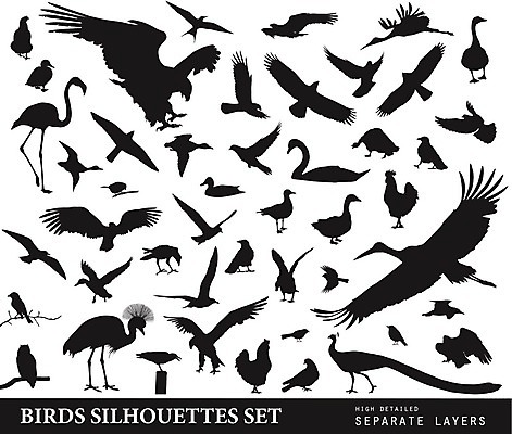 EPS 해외이미지 동물 디자인 실루엣 야생동물 백그라운드 날개 일러스트 모션 자연 갈매기 조류 하늘 추상 오리 세트 검은색 치킨 자유 흰색 비행 황무지 공작 수집 플라밍고 심볼 깃털 기중기 사인 비둘기 사냥 백조 윤곽 독수리 부엉이 대머리 거위 까마귀 고립 엘리먼트 집게발 해외202004 해외일러스트 헤어스타일 컬러 컨셉 무늬 촬영기법 중장비 생태계 닭고기요리 파일형식 벡터 이미지허브