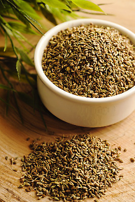 포토 JPG 해외이미지 식물 음식 백그라운드 잎 농업 재료 자연 건강 요리 사람없음 초록색 약 농장 정원 흰색 나뭇가지 신선 양념 맛 다발 허브 향신료 보따리 유기농 원예 매움 향기 아로마 향 아로마테라피 로즈메리 내추럴 고립 백리향 해외202004 해외포토 나무 웰빙 산업 컬러 컨셉 의학 취미 생태계 냄새 테라피 향미료 파일형식 이미지허브