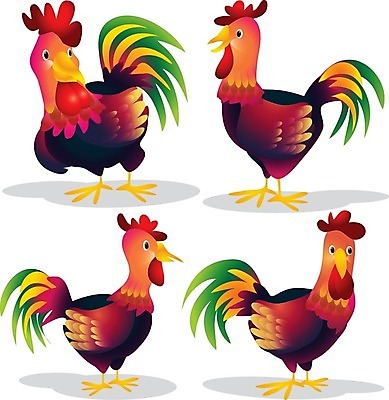 EPS 해외이미지 클립아트 동물 캐릭터 행복 음식 백그라운드 날개 일러스트 자연 벽지 조류 생물 건강 그래픽 반려동물 농장 치킨 흰색 닫기 만화 깃털 그림 부리 리빙 수탉 고립 발톱 암탉 테마 혼자 해외202004 해외일러스트 일러캐릭터 감정 컬러 농업 모션 발 닭 암컷 수컷 생태계 닭고기요리 파일형식 벡터 이미지허브