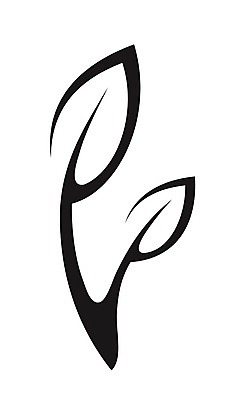 EPS 해외이미지 모양 식물 디자인 실루엣 커피 컨셉 단풍 잎 꽃무늬 곡선 일러스트 자연 추상 미술 그래픽 여름 환경 검은색 봄 소용돌이 가을 흰색 차 심볼 사인 그림 브런치 윤곽 내추럴 고립 떠남 엘리먼트 스타일 해외202004 해외일러스트 계절 꽃 음료 선 컬러 무늬 모션 문화예술 촬영기법 식사 회오리 생태계 파일형식 벡터 이미지허브