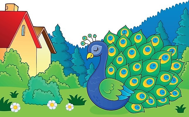 EPS 해외이미지 동물 디자인 행복 일러스트 부분 자연 조류 미술 장식 컬러풀 정원 그리기 공작 깃털 그림 꼬리 동물상 뒤뜰 스타일 해외202004 해외일러스트 감정 컬러 모션 문화예술 조형물 생태계 파일형식 벡터 이미지허브