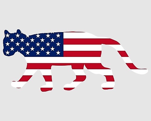 EPS 해외이미지 동물 배너 실루엣 백그라운드 일러스트 빨간색 파란색 고양이 미국 흰색 깃발 큼 심볼 사인 북쪽 표범 고립 전국 해외202004 해외일러스트 컬러 북아메리카 포유류 촬영기법 반려동물 크기 방향 파일형식 벡터 이미지허브