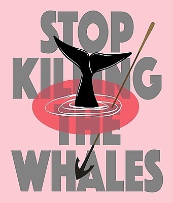 EPS 해외이미지 포스터 창 분홍색 일러스트 타이포그라피 사람없음 고래 꼬리 사냥금지 해외202004 해외일러스트 문자 무기 컬러 포유류 수중동물 금지 파일형식 벡터 이미지허브