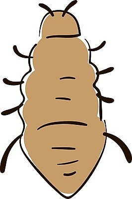 EPS 해외이미지 클립아트 동물 야생동물 나비 곤충 날개 일러스트 자연 생물 그래픽 여름 픽토그램 플랫 바이러스 해충 벌레 벌 수집 딱정벌레 심볼 사인 그림 무당벌레 거미 개미 박테리아 찌르기 기생충 고립 오싹 해외202004 해외일러스트 계절 의학 모션 생태계 파일형식 벡터 이미지허브