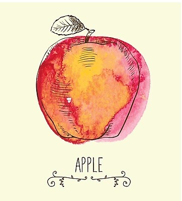 EPS 해외이미지 식물 손 디자인 꽃 실루엣 음식 백그라운드 잎 농업 다이어트 오렌지 과일 일러스트 자연 추상 잉크 건강 미술 빨간색 초록색 여름 세트 노란색 수확 벚꽃 나뭇가지 신선 그룹 달콤 맛 사과 만화 수집 먹기 심볼 복고 건강식 고립 그런지 옛날 채식주의자 디테일 해외202004 해외일러스트 나무 계절 산업 컬러 컨셉 무늬 모션 문화예술 촬영기법 신체부위 생태계 채식 파일형식 벡터 이미지허브