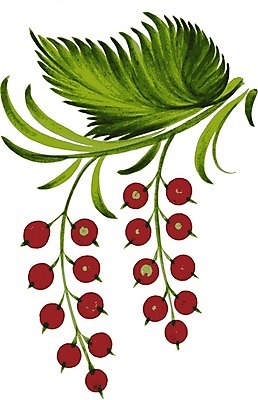 EPS 해외이미지 디자인 꽃 백그라운드 잎 일러스트 수채화 미술 사람없음 손그림 커런트 해외202004 해외일러스트 식물 열매 문화예술 파일형식 벡터 이미지허브