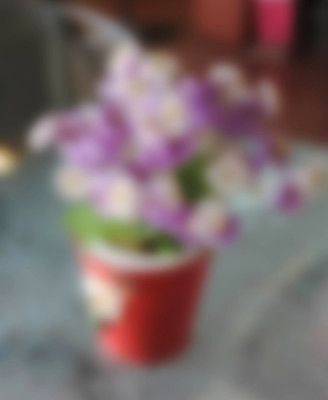 포토 JPG 해외이미지 영어 계절 꽃잎 꽃 리본 분홍색 잎 꽃무늬 태국 자연 사람없음 컵 초록색 꽃병 봄 들꽃 우유 흰색 우아함 냄비 작음 제비꽃 해외202004 해외포토 식물 문자 식기 아시아 컬러 컨셉 무늬 유제품 솥 크기 생태계 파일형식 이미지허브