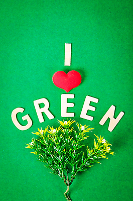 포토 JPG 해외이미지 나무 배너 알파벳 종이 백그라운드 컨셉 통신 사랑 사람없음 목재 빨간색 초록색 세계 글로벌 환경 힘 재활용 에너지 하트 뜨거움 편지 사인 감사 긍정 I 생태학 소셜 해외202004 해외포토 모양 식물 영어 교육 감정 컬러 재료 친환경 파일형식 이미지허브